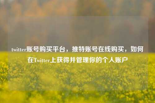 twitter账号购买平台，推特账号在线购买，如何在Twitter上获得并管理你的个人账户