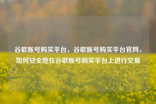 谷歌账号购买平台，谷歌账号购买平台官网，如何安全地在谷歌账号购买平台上进行交易