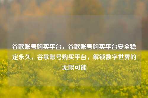 谷歌账号购买平台，谷歌账号购买平台安全稳定永久，谷歌账号购买平台，解锁数字世界的无限可能