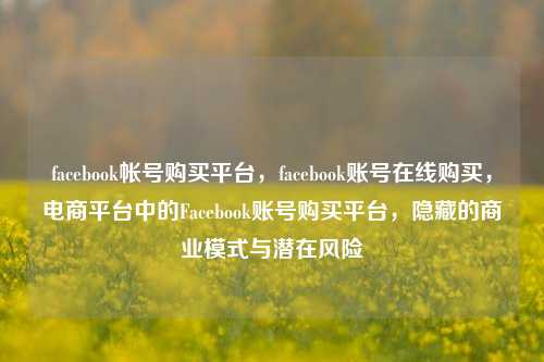 facebook帐号购买平台，facebook账号在线购买，电商平台中的Facebook账号购买平台，隐藏的商业模式与潜在风险