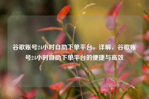 谷歌账号24小时自助下单平台，详解，谷歌账号24小时自助下单平台的便捷与高效