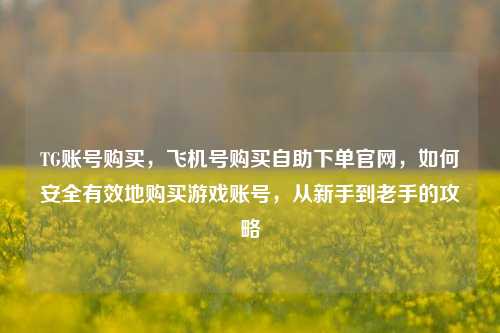TG账号购买，飞机号购买自助下单官网，如何安全有效地购买游戏账号，从新手到老手的攻略