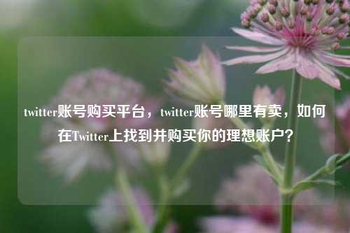 twitter账号购买平台，twitter账号哪里有卖，如何在Twitter上找到并购买你的理想账户？