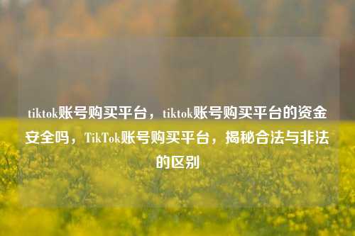 tiktok账号购买平台，tiktok账号购买平台的资金安全吗，TikTok账号购买平台，揭秘合法与非法的区别