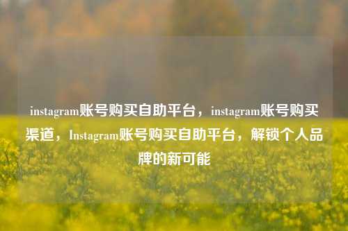 instagram账号购买自助平台，instagram账号购买渠道，Instagram账号购买自助平台，解锁个人品牌的新可能
