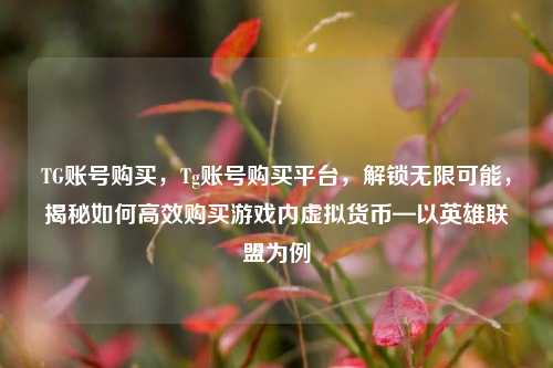 TG账号购买，Tg账号购买平台，解锁无限可能，揭秘如何高效购买游戏内虚拟货币—以英雄联盟为例