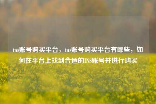 ins账号购买平台，ins账号购买平台有哪些，如何在平台上找到合适的INS账号并进行购买