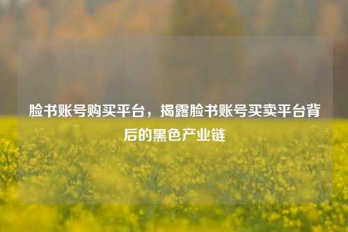 脸书账号购买平台，揭露脸书账号买卖平台背后的黑色产业链  第1张