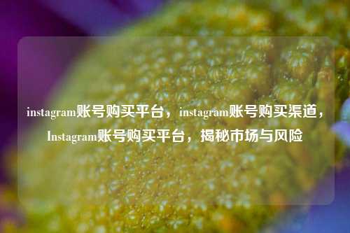 instagram账号购买平台，instagram账号购买渠道，Instagram账号购买平台，揭秘市场与风险