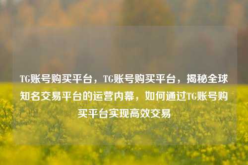 TG账号购买平台，TG账号购买平台，揭秘全球知名交易平台的运营内幕，如何通过TG账号购买平台实现高效交易