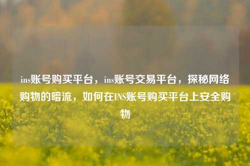 ins账号购买平台，ins账号交易平台，探秘网络购物的暗流，如何在INS账号购买平台上安全购物