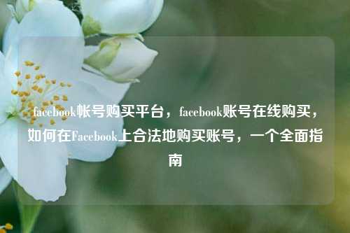 facebook帐号购买平台，facebook账号在线购买，如何在Facebook上合法地购买账号，一个全面指南