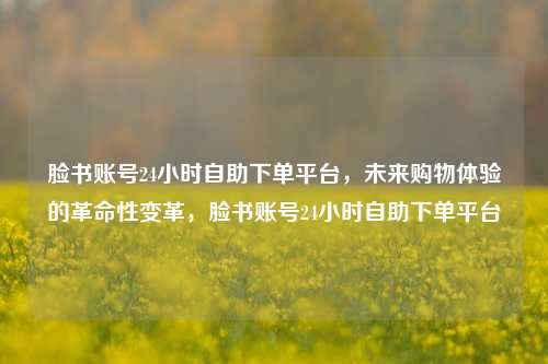 脸书账号24小时自助下单平台，未来购物体验的革命性变革，脸书账号24小时自助下单平台