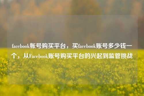 facebook帐号购买平台，买facebook账号多少钱一个，从Facebook账号购买平台的兴起到监管挑战
