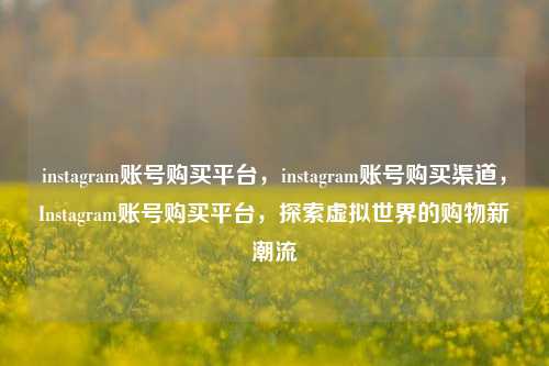 instagram账号购买平台，instagram账号购买渠道，Instagram账号购买平台，探索虚拟世界的购物新潮流