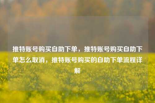 推特账号购买自助下单，推特账号购买自助下单怎么取消，推特账号购买的自助下单流程详解