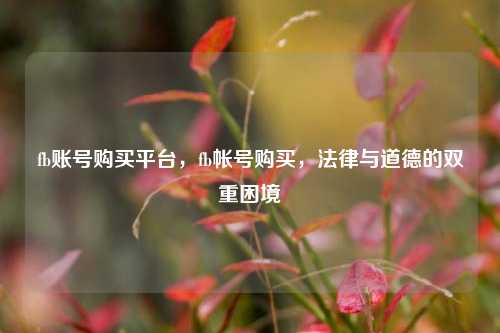 fb账号购买平台，fb帐号购买，法律与道德的双重困境