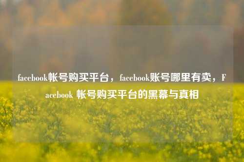 facebook帐号购买平台，facebook账号哪里有卖，Facebook 帐号购买平台的黑幕与真相