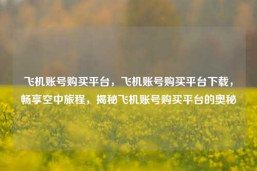 飞机账号购买平台，飞机账号购买平台下载，畅享空中旅程，揭秘飞机账号购买平台的奥秘