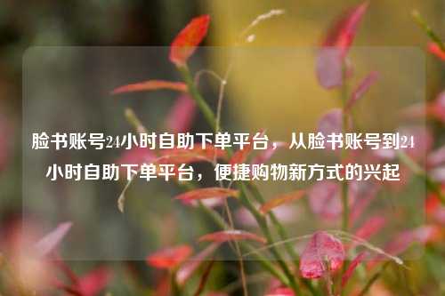 脸书账号24小时自助下单平台，从脸书账号到24小时自助下单平台，便捷购物新方式的兴起
