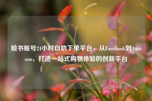 脸书账号24小时自助下单平台，从Facebook到Amazon，打造一站式购物体验的创新平台