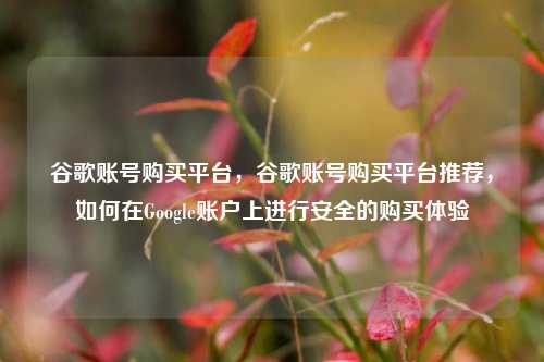 谷歌账号购买平台，谷歌账号购买平台推荐，如何在Google账户上进行安全的购买体验