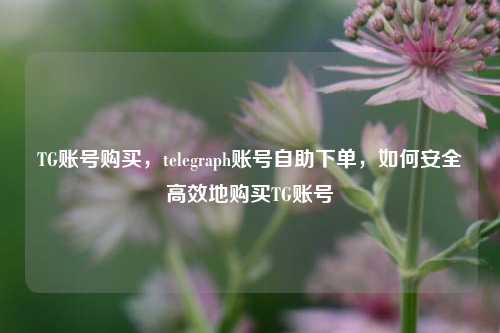 TG账号购买，telegraph账号自助下单	，如何安全高效地购买TG账号  第1张