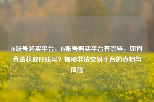 fb账号购买平台，fb账号购买平台有哪些，如何合法获取FB账号？揭秘非法交易平台的真相与风险
