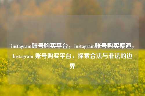 instagram账号购买平台	，instagram账号购买渠道，Instagram 账号购买平台，探索合法与非法的边界  第1张