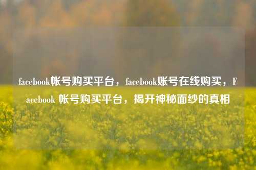 facebook帐号购买平台，facebook账号在线购买，Facebook 帐号购买平台，揭开神秘面纱的真相