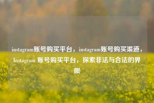 instagram账号购买平台，instagram账号购买渠道，Instagram 账号购买平台，探索非法与合法的界限
