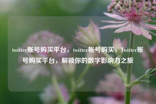 twitter账号购买平台，twitter帐号购买，Twitter账号购买平台，解锁你的数字影响力之旅