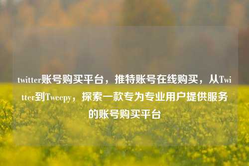 twitter账号购买平台，推特账号在线购买，从Twitter到Tweepy，探索一款专为专业用户提供服务的账号购买平台