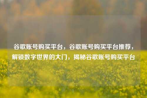 谷歌账号购买平台，谷歌账号购买平台推荐，解锁数字世界的大门，揭秘谷歌账号购买平台