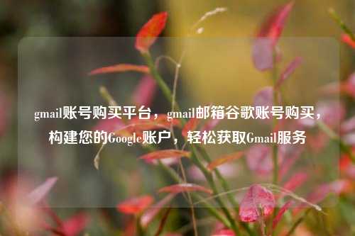 gmail账号购买平台，gmail邮箱谷歌账号购买，构建您的Google账户，轻松获取Gmail服务