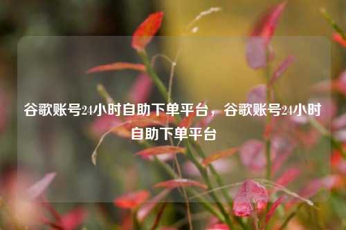 谷歌账号24小时自助下单平台，谷歌账号24小时自助下单平台  第1张