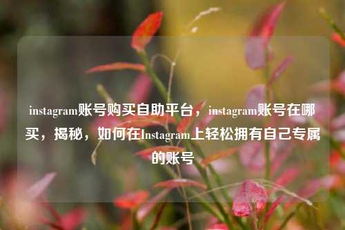 instagram账号购买自助平台，instagram账号在哪买，揭秘，如何在Instagram上轻松拥有自己专属的账号