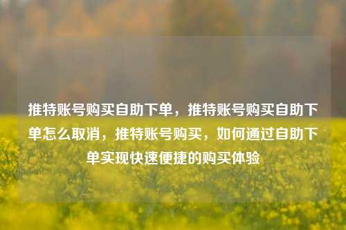推特账号购买自助下单，推特账号购买自助下单怎么取消，推特账号购买，如何通过自助下单实现快速便捷的购买体验