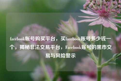 facebook帐号购买平台，买facebook账号多少钱一个，揭秘非法交易平台，Facebook账号的黑市交易与风险警示