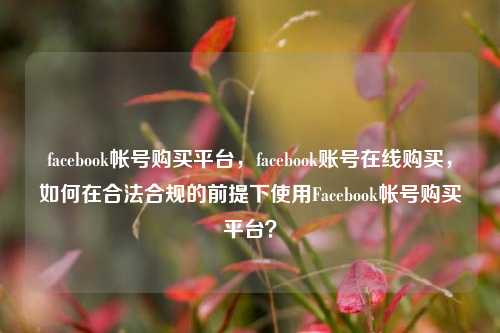 facebook帐号购买平台，facebook账号在线购买，如何在合法合规的前提下使用Facebook帐号购买平台？