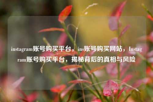instagram账号购买平台，ins账号购买网站，Instagram账号购买平台，揭秘背后的真相与风险