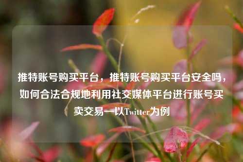 推特账号购买平台，推特账号购买平台安全吗，如何合法合规地利用社交媒体平台进行账号买卖交易—以Twitter为例