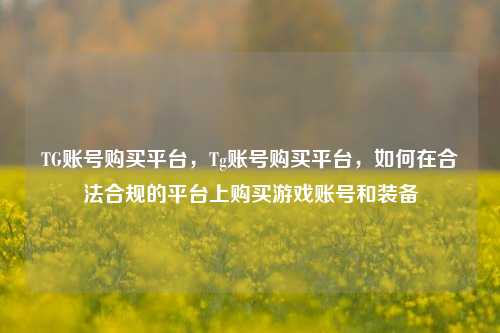 TG账号购买平台，Tg账号购买平台，如何在合法合规的平台上购买游戏账号和装备  第1张