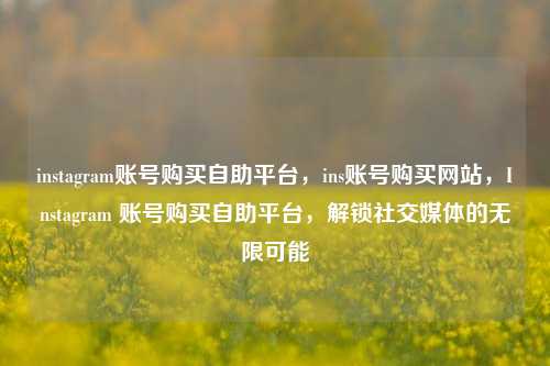 instagram账号购买自助平台，ins账号购买网站，Instagram 账号购买自助平台，解锁社交媒体的无限可能