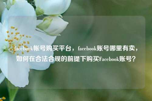 facebook帐号购买平台，facebook账号哪里有卖，如何在合法合规的前提下购买Facebook账号？