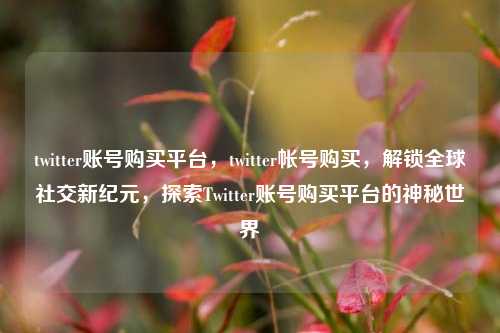 twitter账号购买平台，twitter帐号购买，解锁全球社交新纪元，探索Twitter账号购买平台的神秘世界