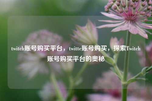 twitch账号购买平台，twitte账号购买，探索Twitch账号购买平台的奥秘