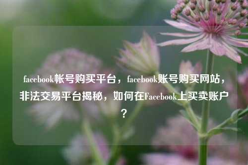 facebook帐号购买平台，facebook账号购买网站，非法交易平台揭秘，如何在Facebook上买卖账户？