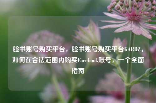 脸书账号购买平台	，脸书账号购买平台KARDZ，如何在合法范围内购买Facebook账号，一个全面指南  第1张