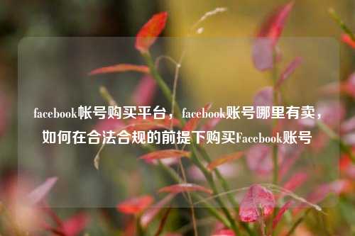 facebook帐号购买平台，facebook账号哪里有卖，如何在合法合规的前提下购买Facebook账号
